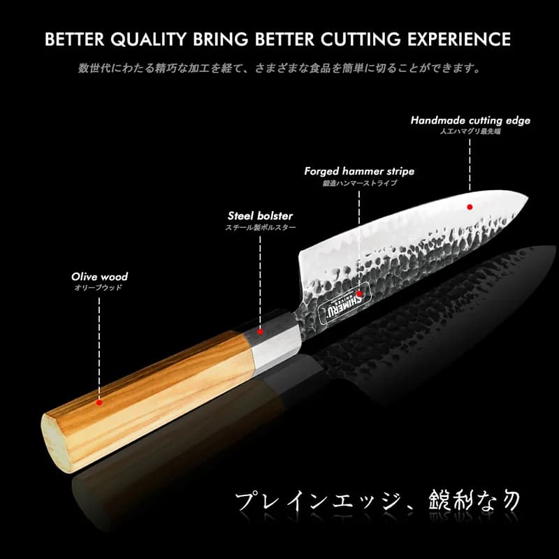 Kakehashi 8" Gyuto 牛刀